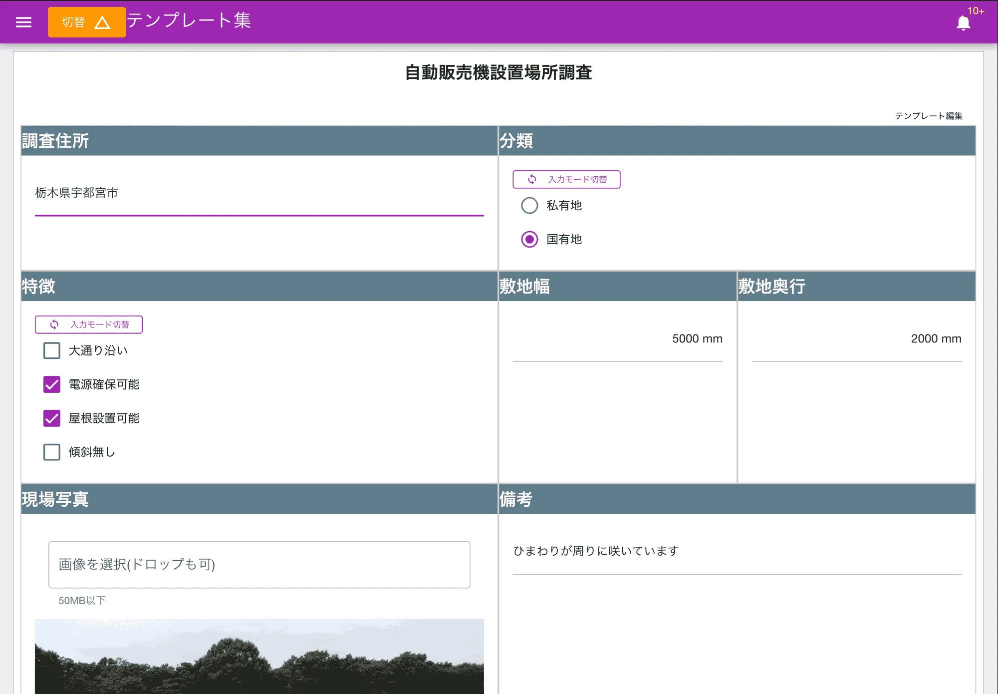 現地調査レポート
