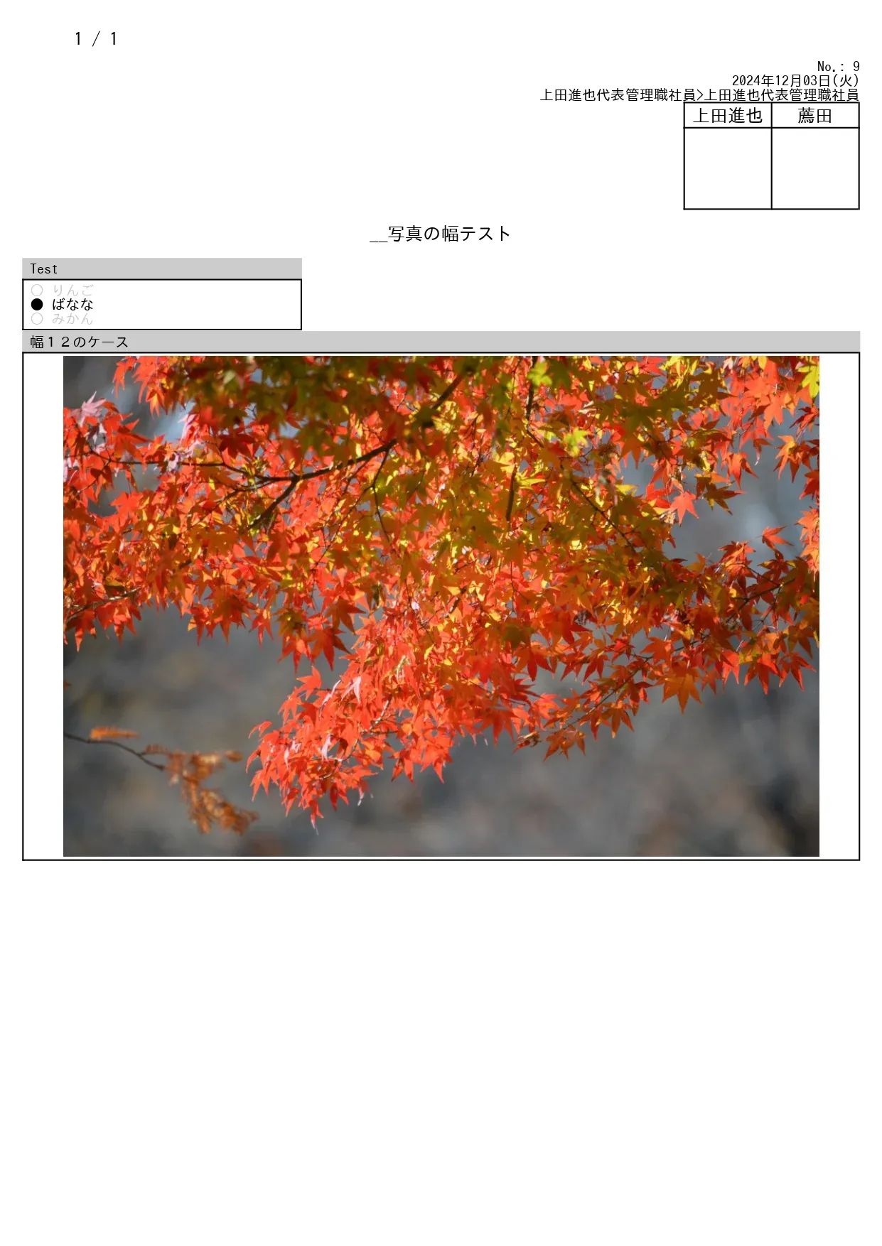 最大幅で出力した例（幅12）です。縦長の画像の場合、1ページ丸ごと使用してしまうこともあるため注意が必要です。全体図の記録などに。