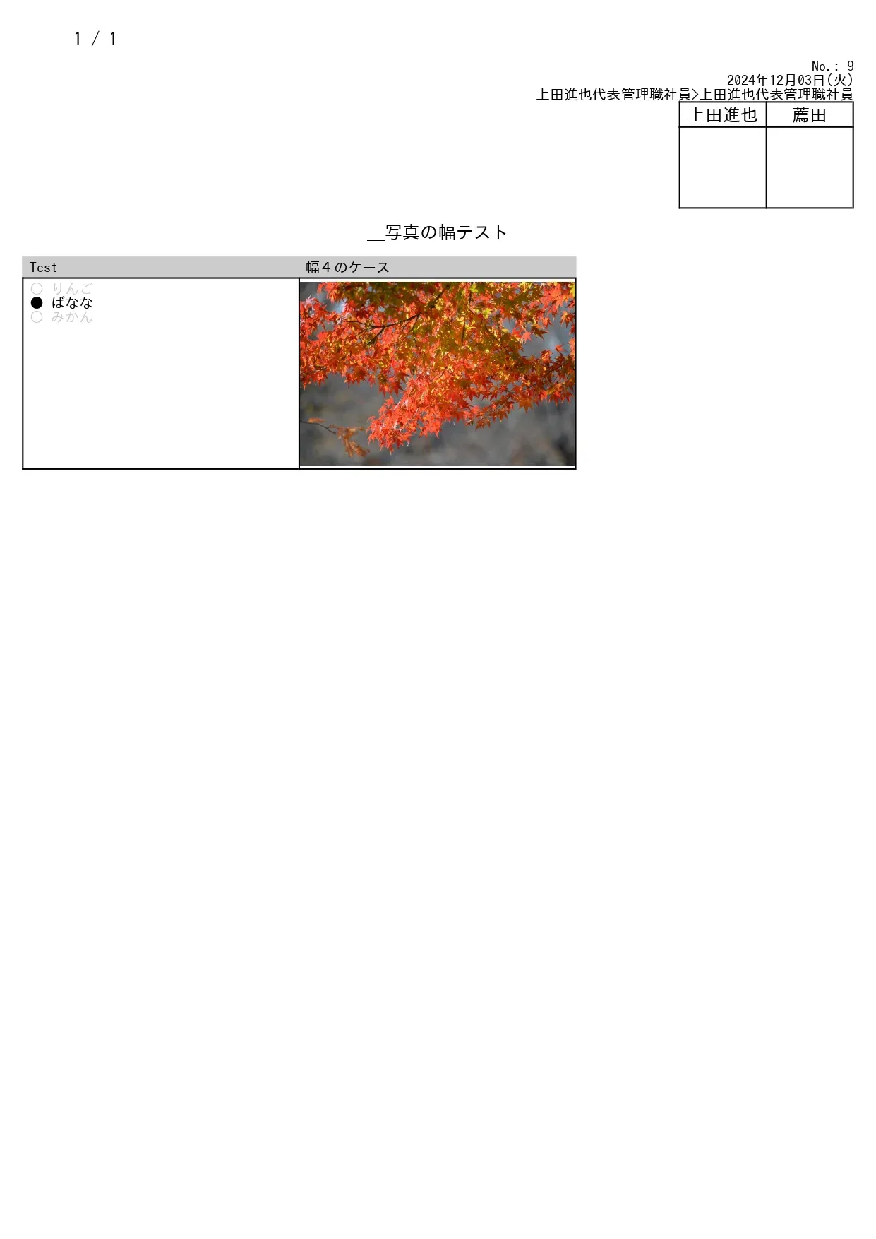 幅4でPDF出力すると比較的小さな画像として残せます。設備点検の状況を一覧で確認する際に適しています。